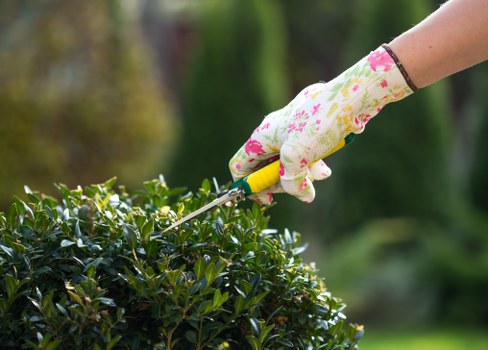 Image representing cookie policy and website browsing for Landscaping Wanstead