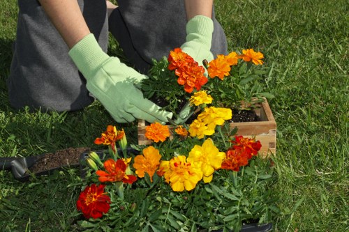 Planting beds and soil preparation for Wanstead soft landscaping