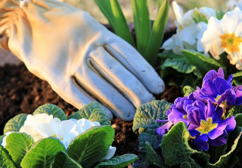SSL protected Landscaping Wanstead payment process