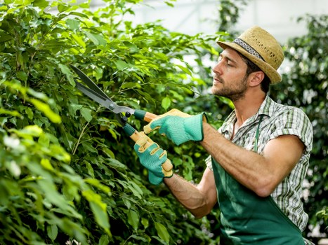 Landscaper wearing PPE during garden maintenance in Wanstead