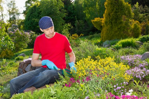 Maintenance-friendly landscaping feature in Wanstead with evergreen planting and paving
