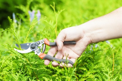 Clear pricing breakdown for Wanstead landscaping services