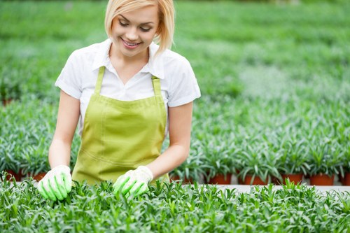 Leadership oversight of ethical standards in landscaping