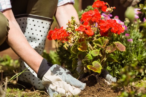 Safe and professional landscaping work with clear health and safety standards