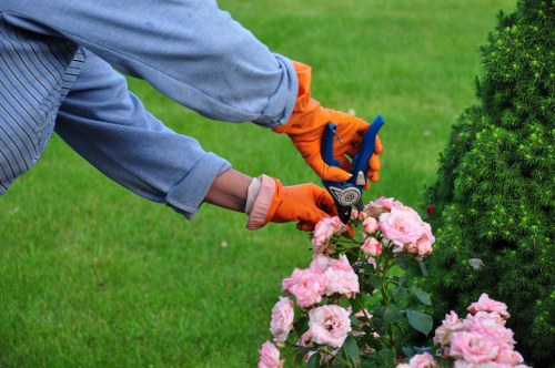 Low-maintenance artificial lawn suitable for a Wanstead family garden