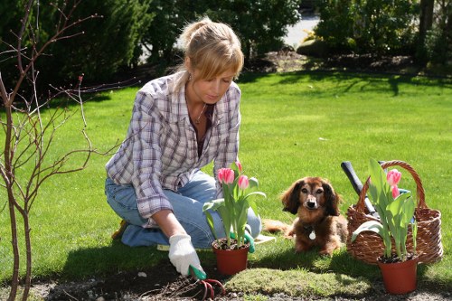 New lawn aftercare and watering advice for Wanstead homes